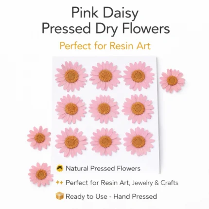 Baby Pink Daisy Pressed Dry Flower for Resin Art