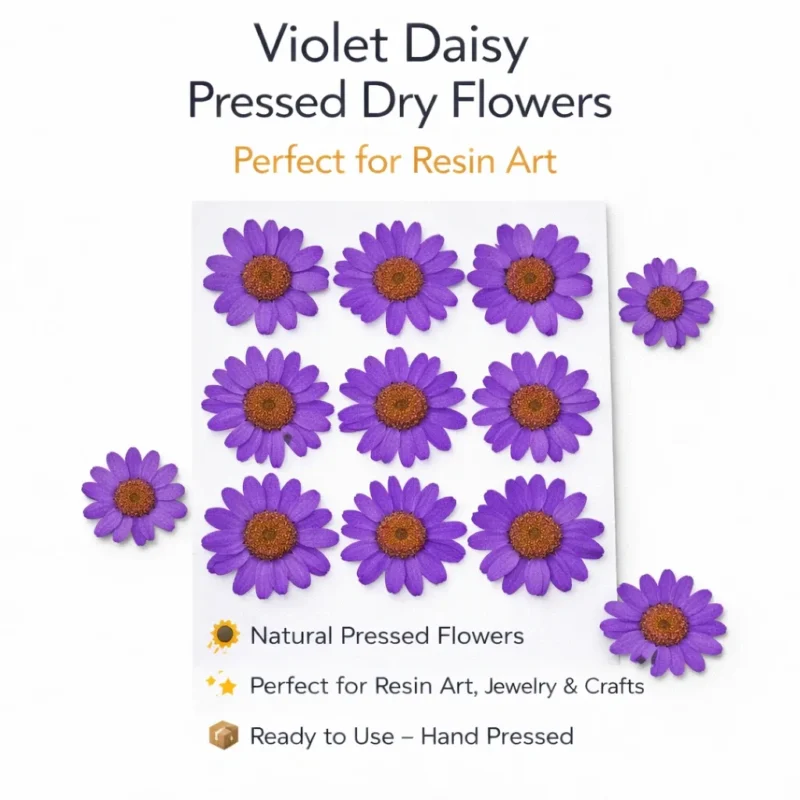 Violet Daisy Pressed Dry Flower for Resin Art