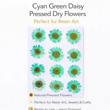 Sea Green Daisy Pressed Dry Flower for Resin Art