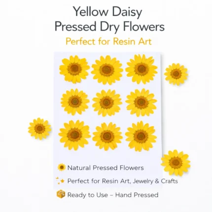 Yellow Daisy Pressed Dry Flower for Resin Art