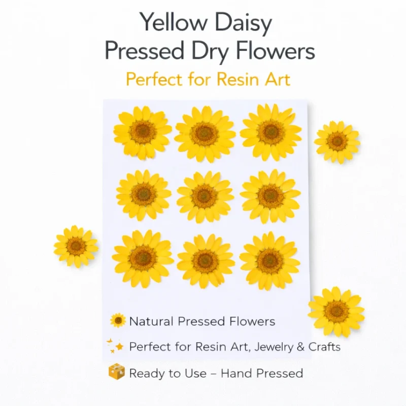 Yellow Daisy Pressed Dry Flower for Resin Art